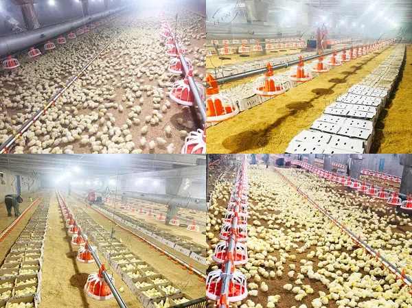 _20220830090503