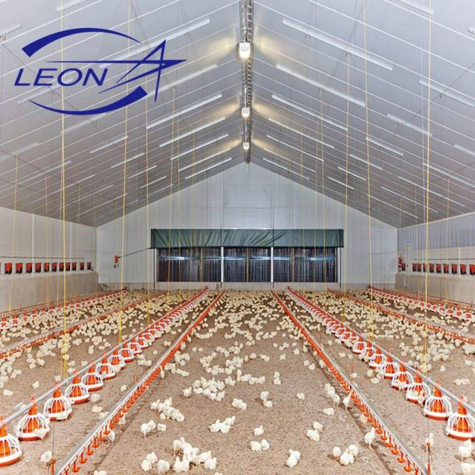 Automatic Broiler Pan Feeding System