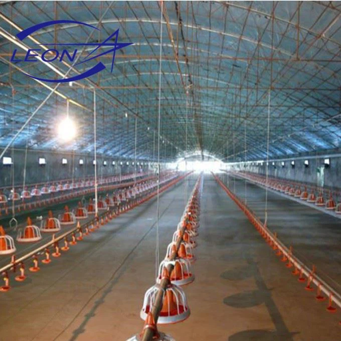 Automatic Broiler Pan Feeding System