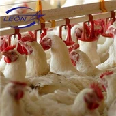 Leon 완전 자동 브리더 팬 공급 시스템