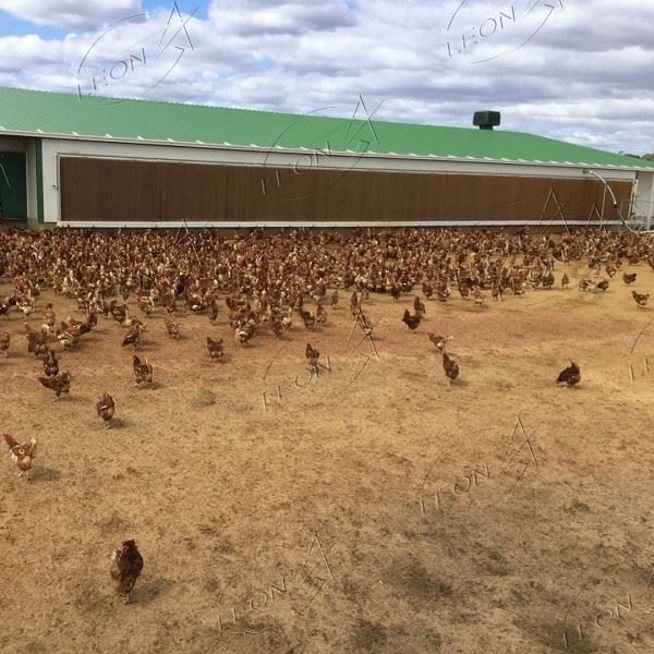 Poultry Farm Air Cooling Pad Plastic Evaporative Cooling Pad Poultry Farm Air Cooling Pad Plastic Evaporative Cooling Pad