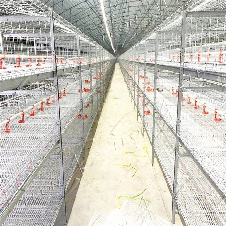 Broiler Cage Raising System Broiler Cage Raising System