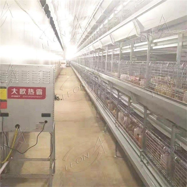 H Type Broiler Cage Raising System