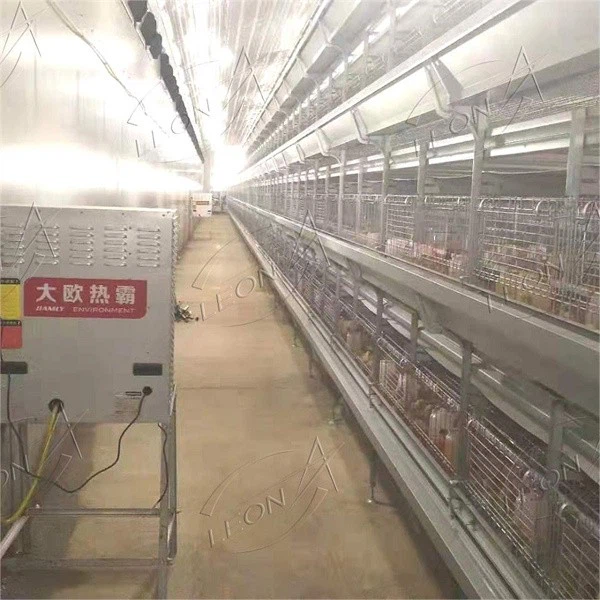 H-type Broiler Cage Raising Sysytem H-type Broiler Cage Raising Sysytem